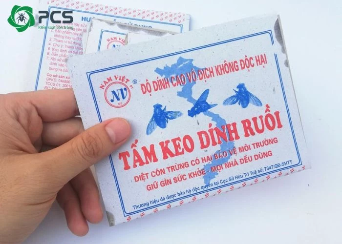 cách diệt ruồi nhặng trong nhà